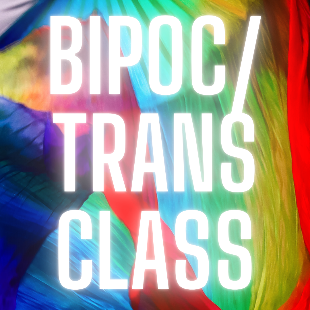 Solidarity Pricing (BIPOC/Trans) - Single Class
